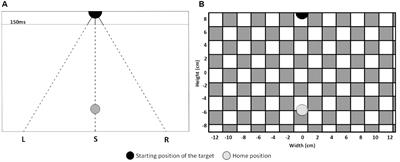 A Simple Target Interception Task as Test for Activities of Daily Life Performance in Older Adults